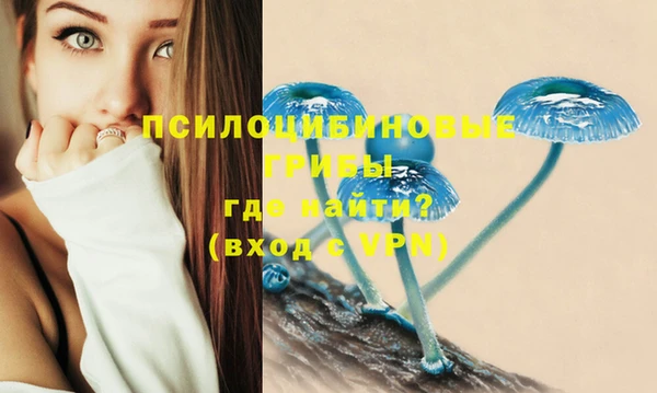 MDMA Premium VHQ Тавда
